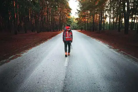 一个人在路上背影图片独自一人看大海图片2022已更新今日动态