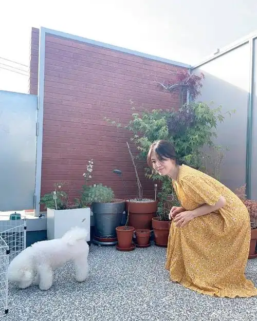 韩国演员宋慧乔分享了日常生活.