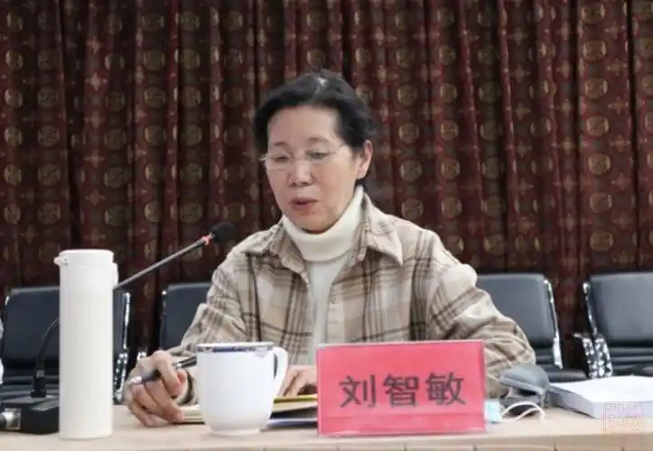 咨询专家组专家刘智敏总工程师发言