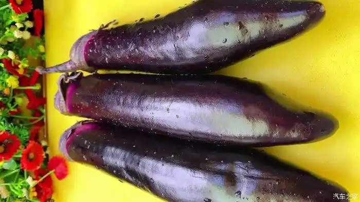 长条茄子清洗干净