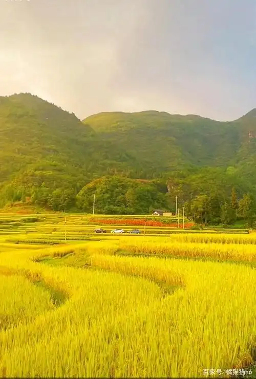 秋天的大自然景象