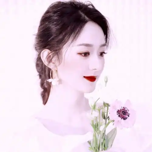 赵丽颖头像,禁二转二改,授权即可