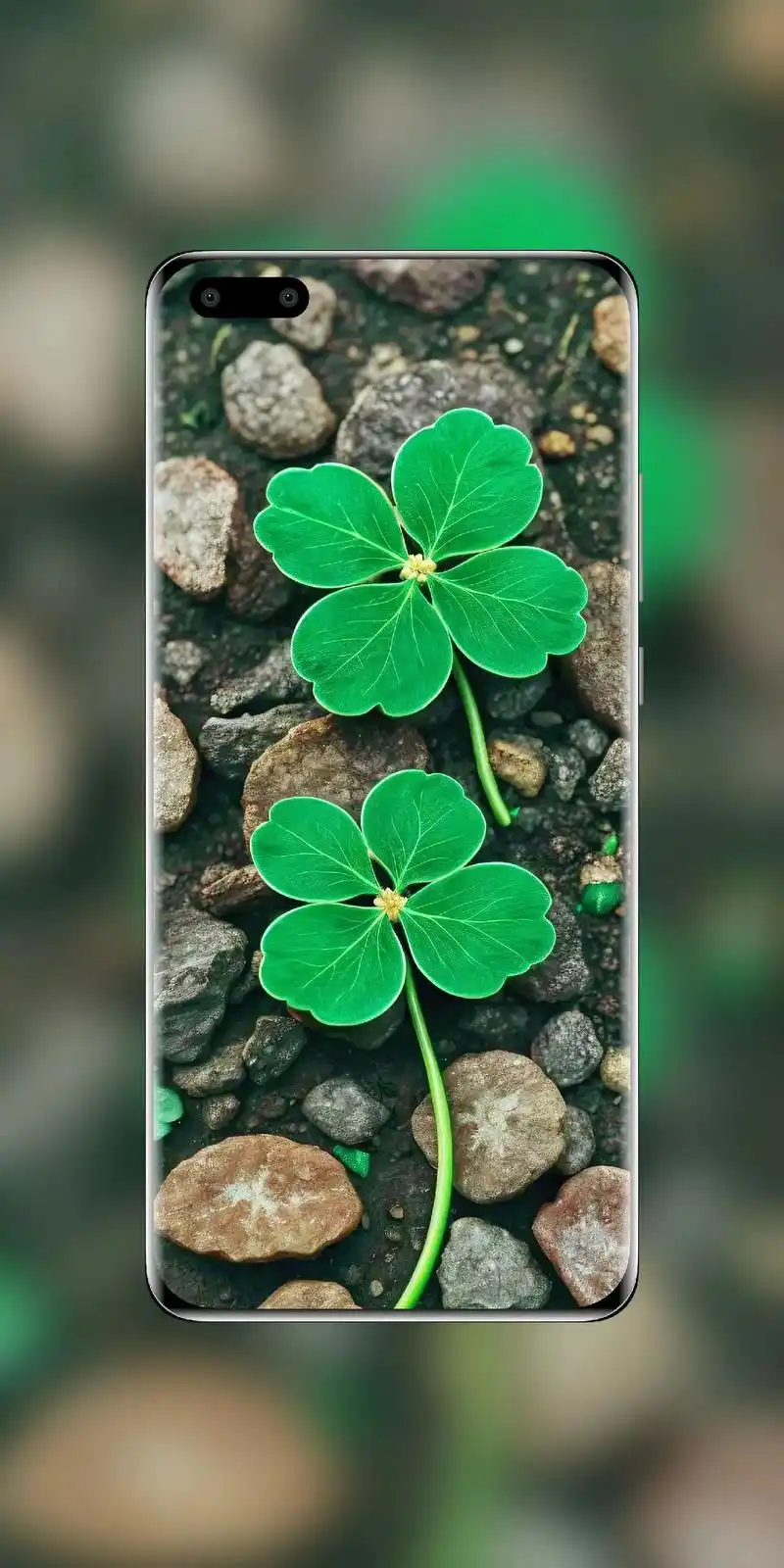 人生还有一条线,转身只是因为遇见了你. #四叶草#治愈系 - 抖音