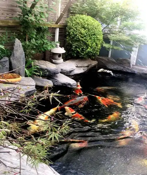 景观设计中鱼池的出现