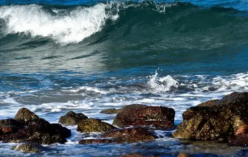 摘一朵浪花送给你
