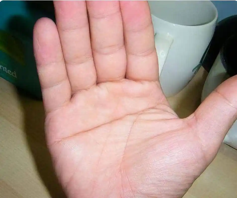 生命线_智慧_手掌