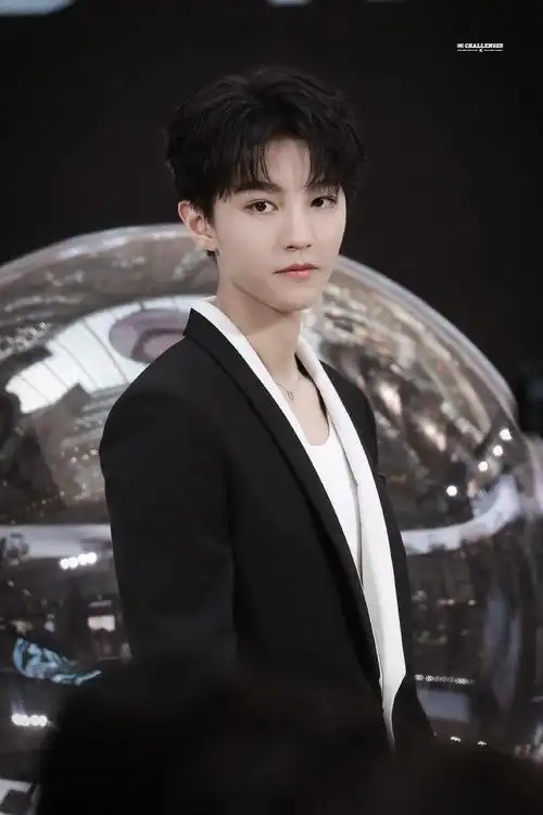 王俊凯出席品牌活动的造型图弟弟的颜值真的好绝