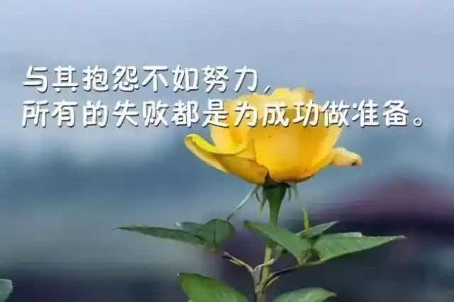 励志的早安暖心句子,励志图片带字唯美