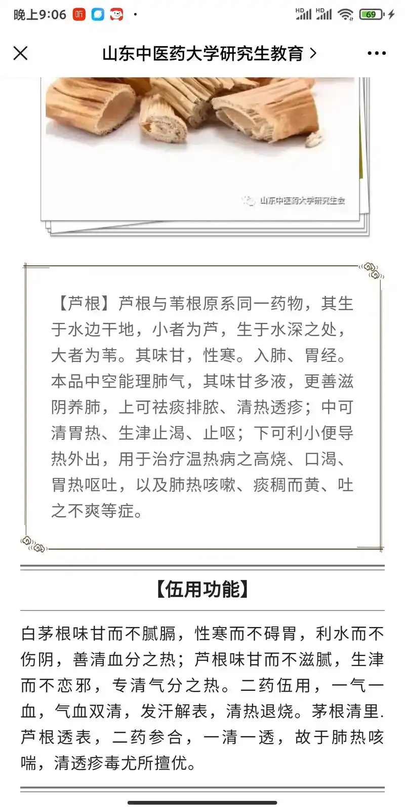 芦根搭配白茅根.#自学中医  芦根馆长没怎么用,千金苇茎汤  - 抖音