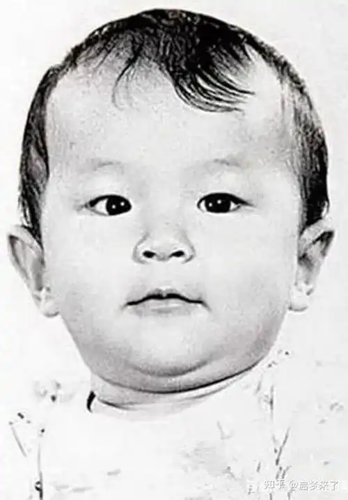 吴奇隆可爱,苏有朋呆萌,林更新搞笑,赵丽颖要哭,刘诗诗从小气质好!