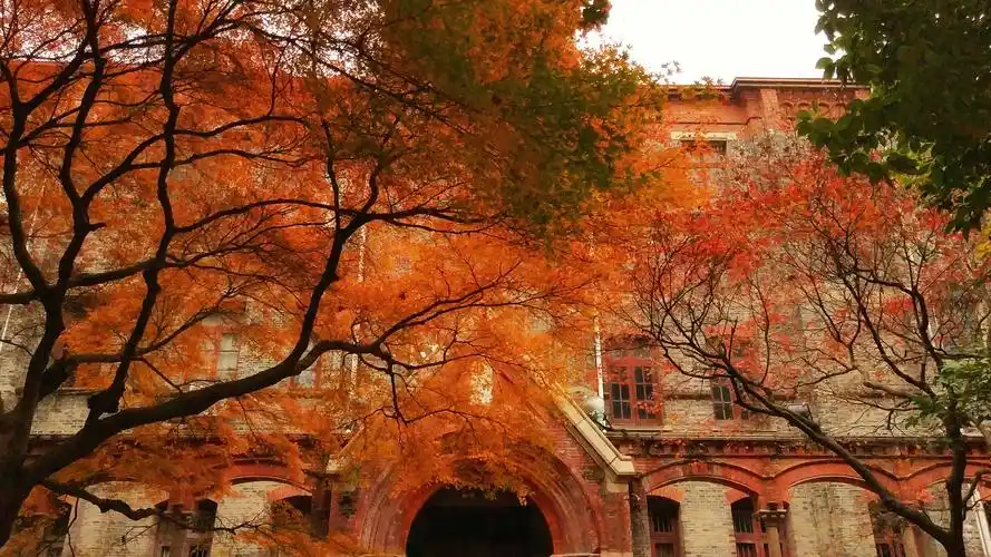 苏州大学校园美景