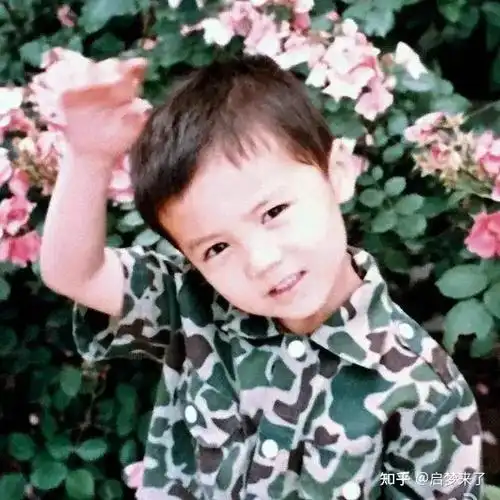 吴奇隆可爱,苏有朋呆萌,林更新搞笑,赵丽颖要哭,刘诗诗从小气质好!