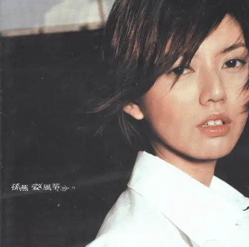 孙燕姿 discography album art covers