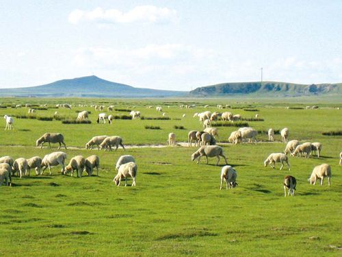 海报印制538设计展板素材530内蒙古风景 - 副本定制