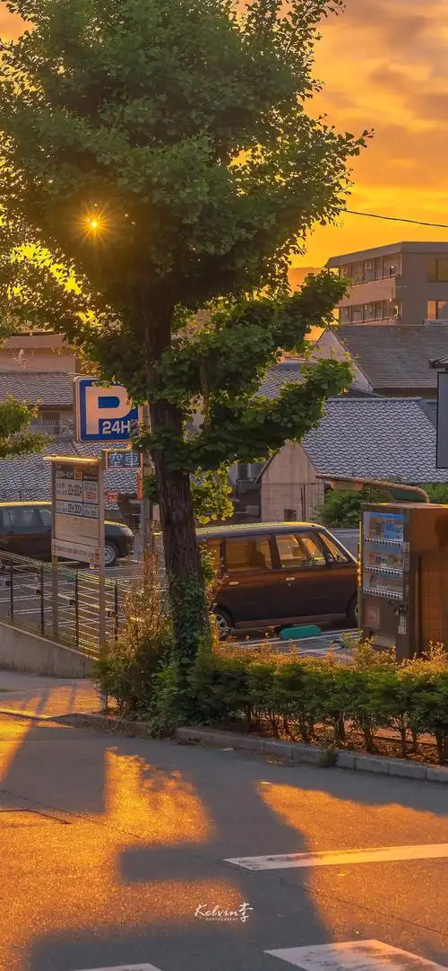 4k超高清全面屏手机壁纸第六期城市风光类型