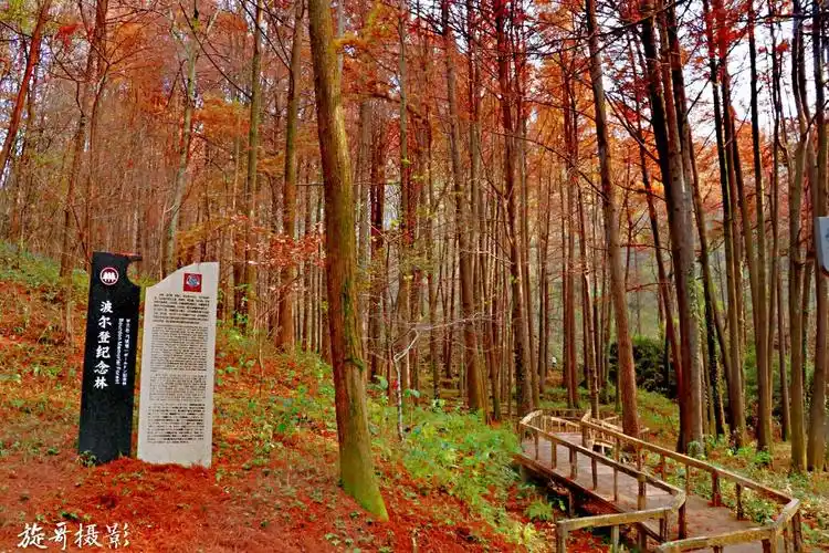 波尔登森林公园