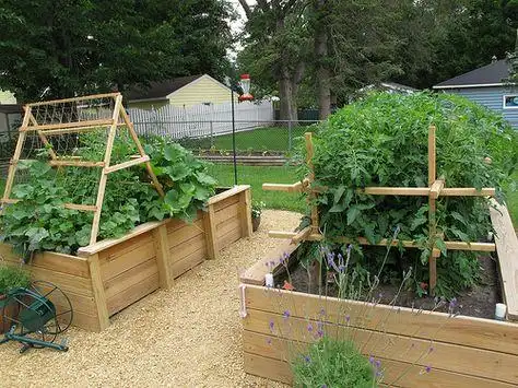 庭院元素家庭菜园款式参考150例