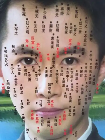 男女面部痣相图解