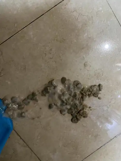 【讨论】我家猫为什么吃完伊纳宝的猫条就吐?