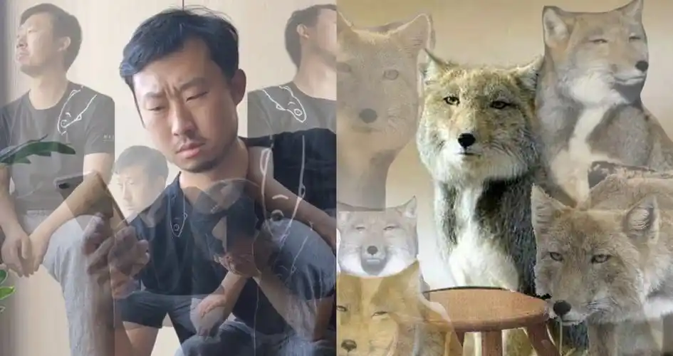 无穷小亮出圈抖音科普创作者爆火有何方法论