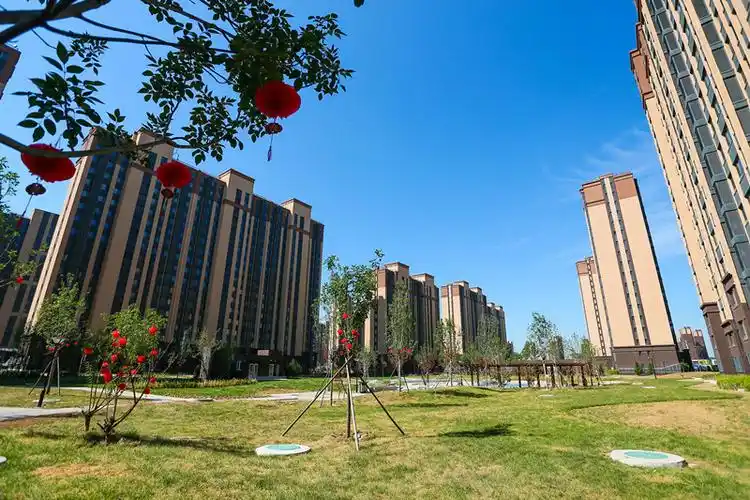 北京大兴:提速保通航 蝶变新国门