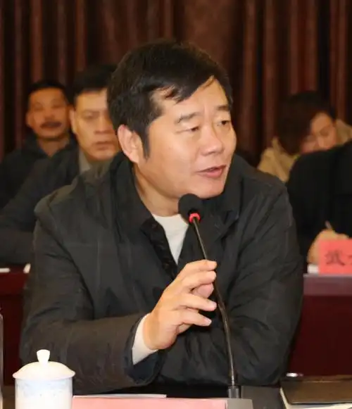 曲阳县委书记王芃(江孙美 摄)