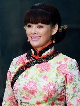 三进山城演员表,全部演员表,演员人物介绍_电视剧_电视猫