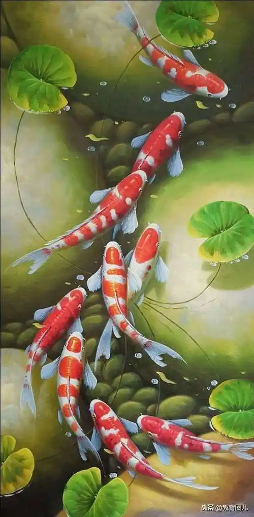 送您100张锦鲤鱼壁纸,祝您年年有鱼,好运常来,福气满满,万事康泰!