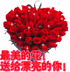 长辈专用最俗表情包哈哈哈喜欢吗