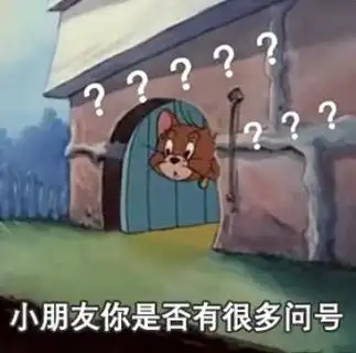 小朋友你是否有很多问号表情包