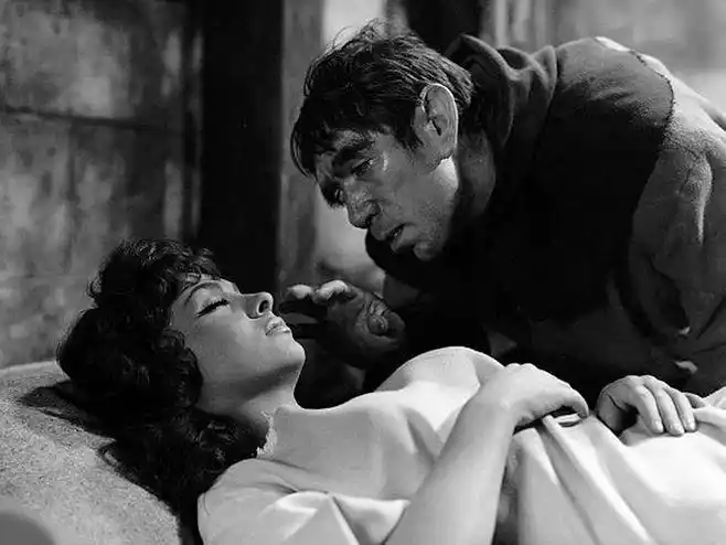 巴黎圣母院 notre dame de paris (1956)