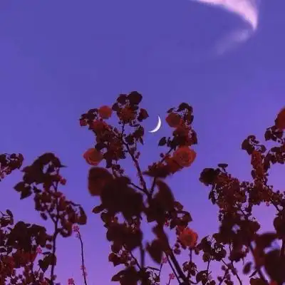 适合爸爸妈妈微信头像 中老年微信头像风景图片