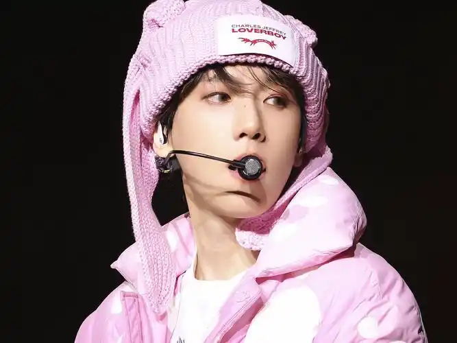 边伯贤新加坡演唱会分p版