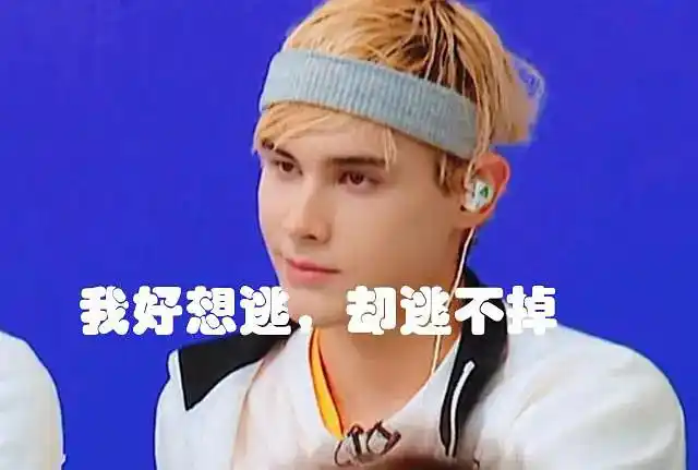 发一波新的利路修表情包