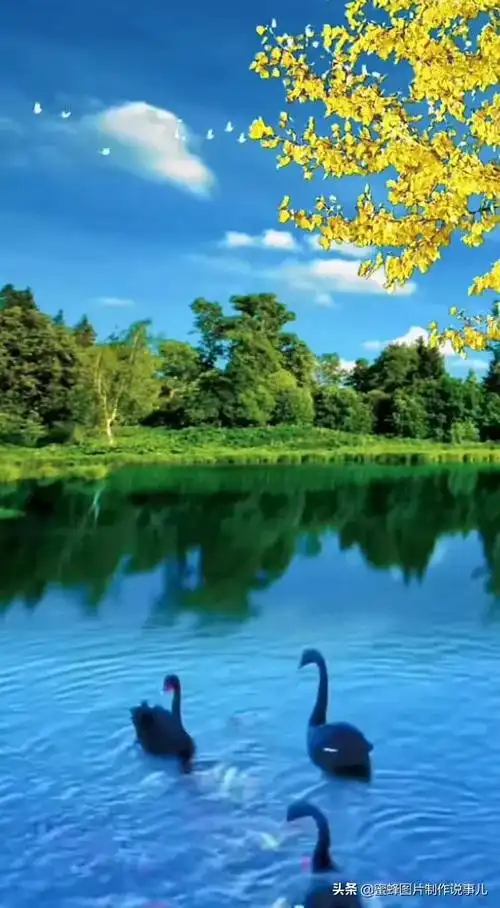 描写大自然景观的优美句子