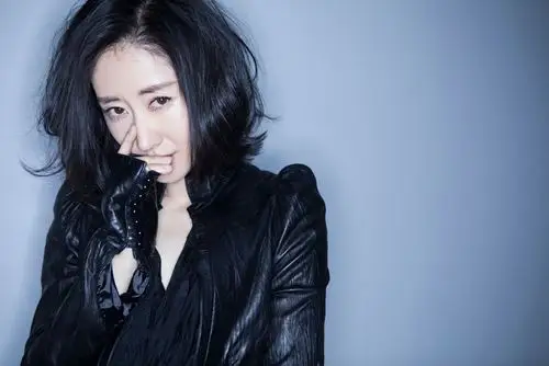 《黑蝴蝶》亮相电影节 刘敏涛提名最佳女主