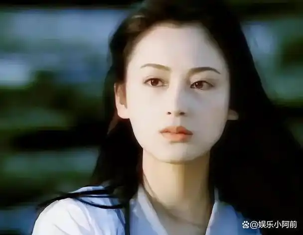 他们俩生下的两个儿子都没有继承母亲陈红的容貌,而是遗传了陈凯歌