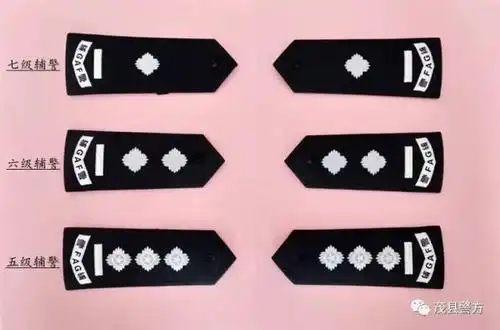 最新辅警肩章有创意