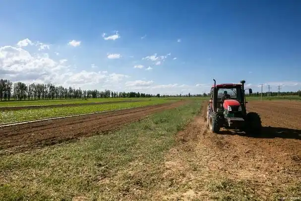 百度仲夏打卡挑战赛#在农村地区,现在的土地制度改革工作已经深化