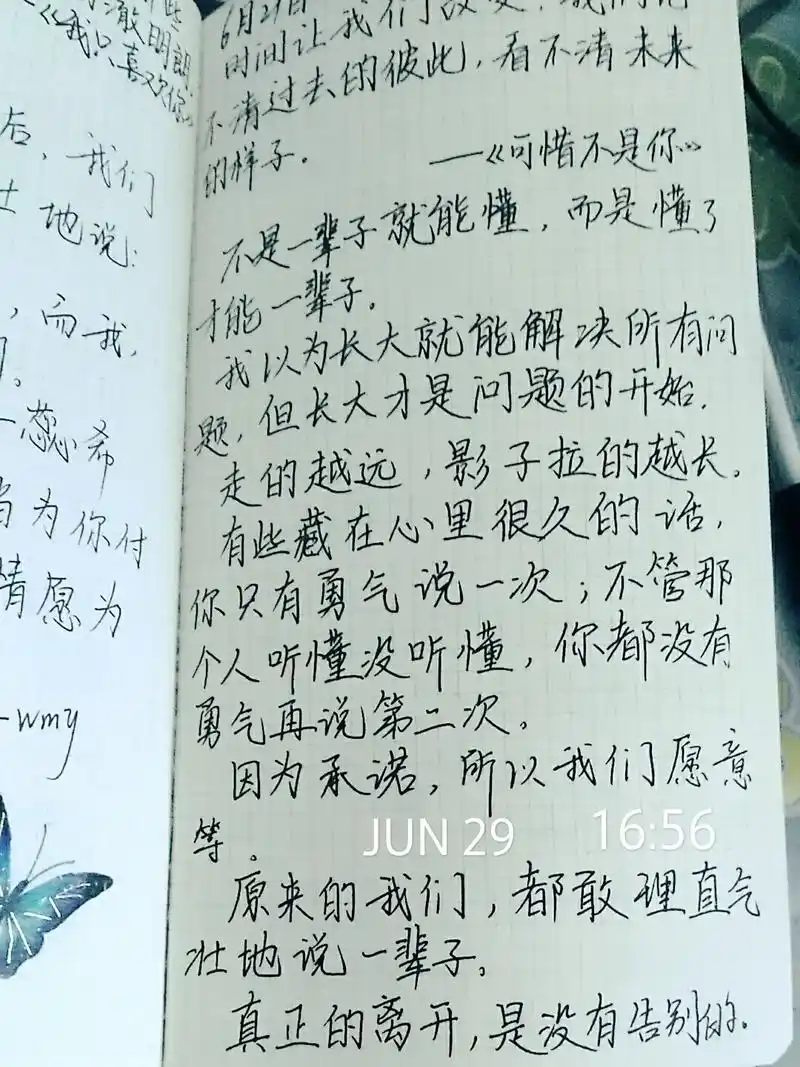 《可惜不是你》经典语录