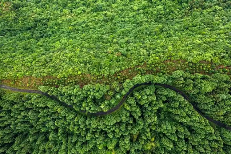 经里程最长的省份也是长江流域重要水源涵养地和国家生态屏障2021年