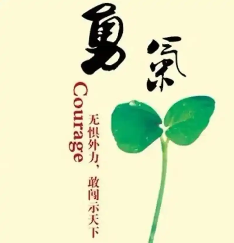 改变自己就要面对自己,面对自己不敢真实看到的一面比如"愚蠢的事""