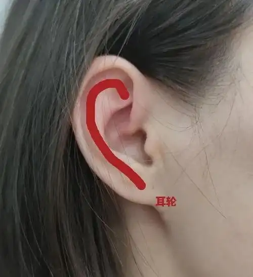 按摩耳轮:调和气血