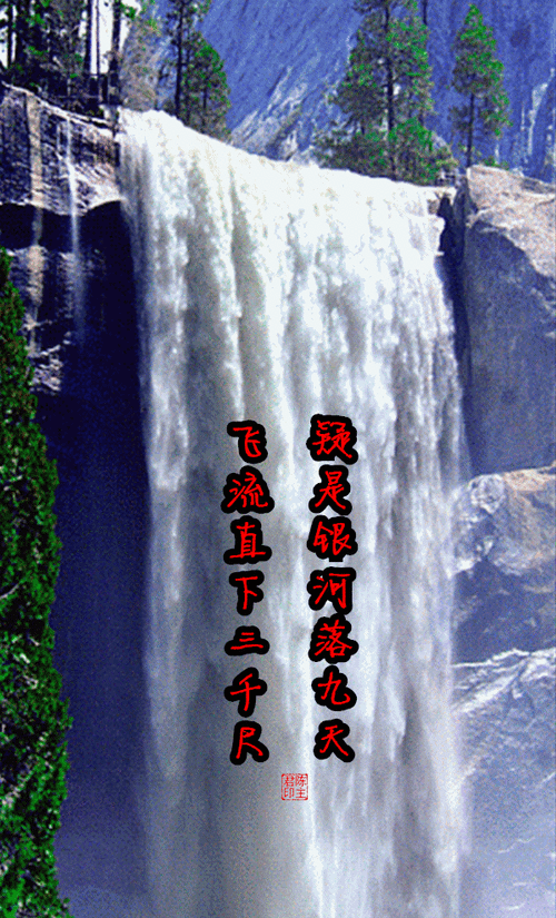 600_990竖版 竖屏gif 动态图 动图