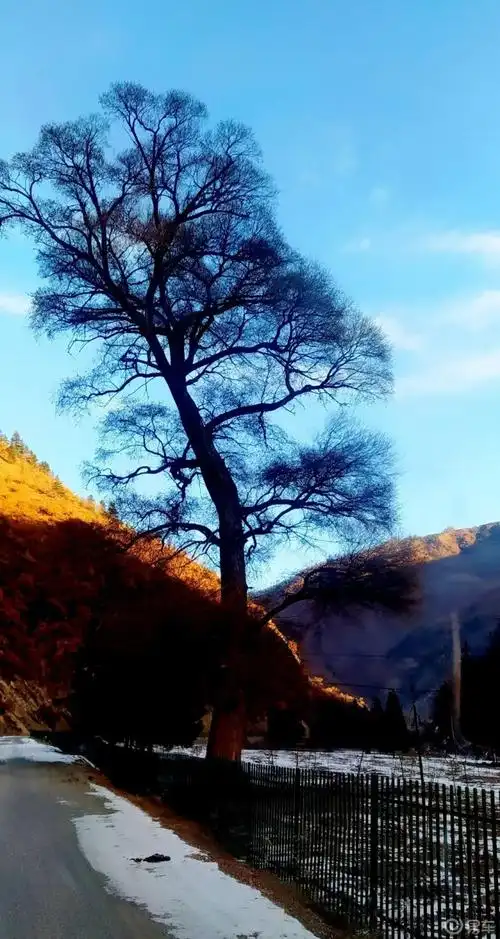 旅游摄影#迭部~措美峰秦岭迭山系"措美峰"(海拔4920米)从公路进山行