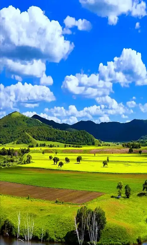 蓝天白云绿草地 - 勇哥爱摄影