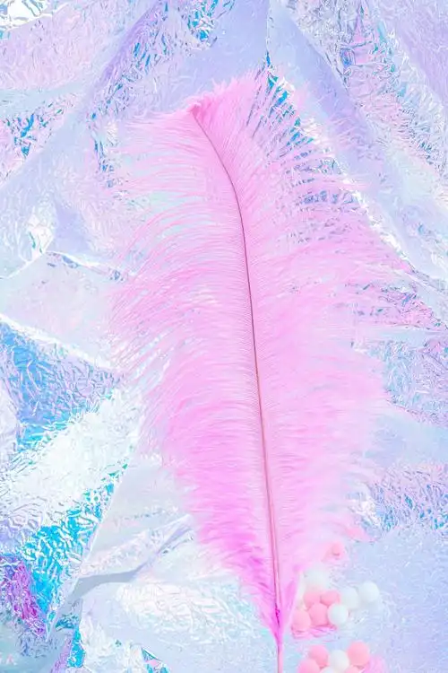 拍照道具 羽毛 白色粉色黑色 美甲装饰摆拍 粉色扇形羽毛(单根)