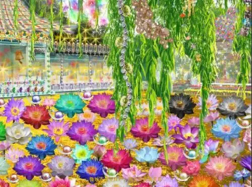 宽净法师:西方极乐世界见闻录!