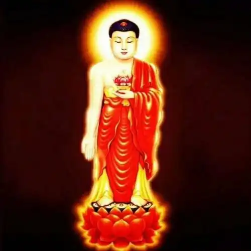 中就说,念佛之法"二乘非所测,唯佛独明了",这个法门是阿弥陀佛以名号