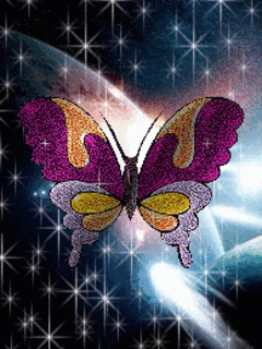绚丽多彩的动态蝴蝶美图 - 易拉罐 - 杜佳兵 的博客.易拉罐